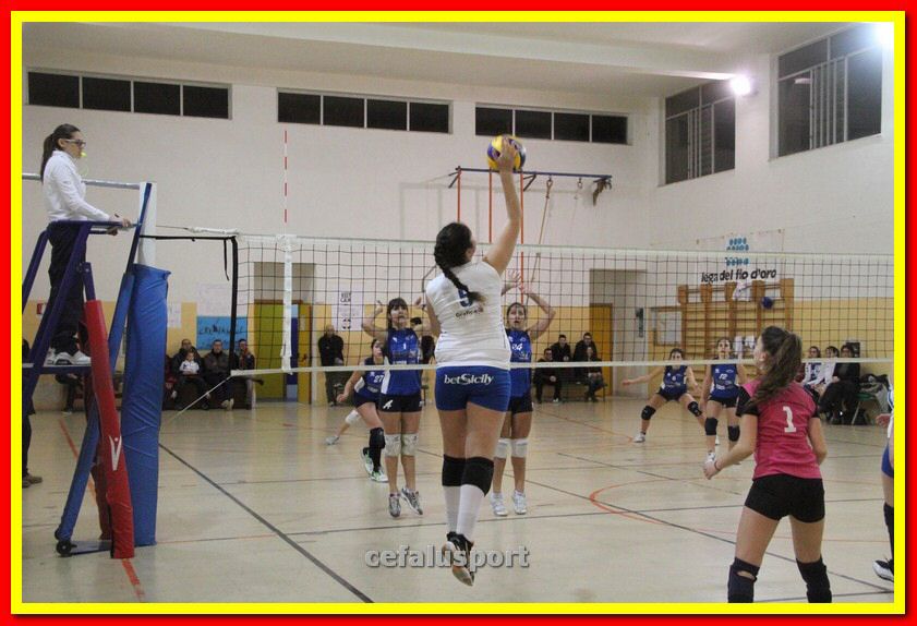 140305 Primula 155_tn.jpg